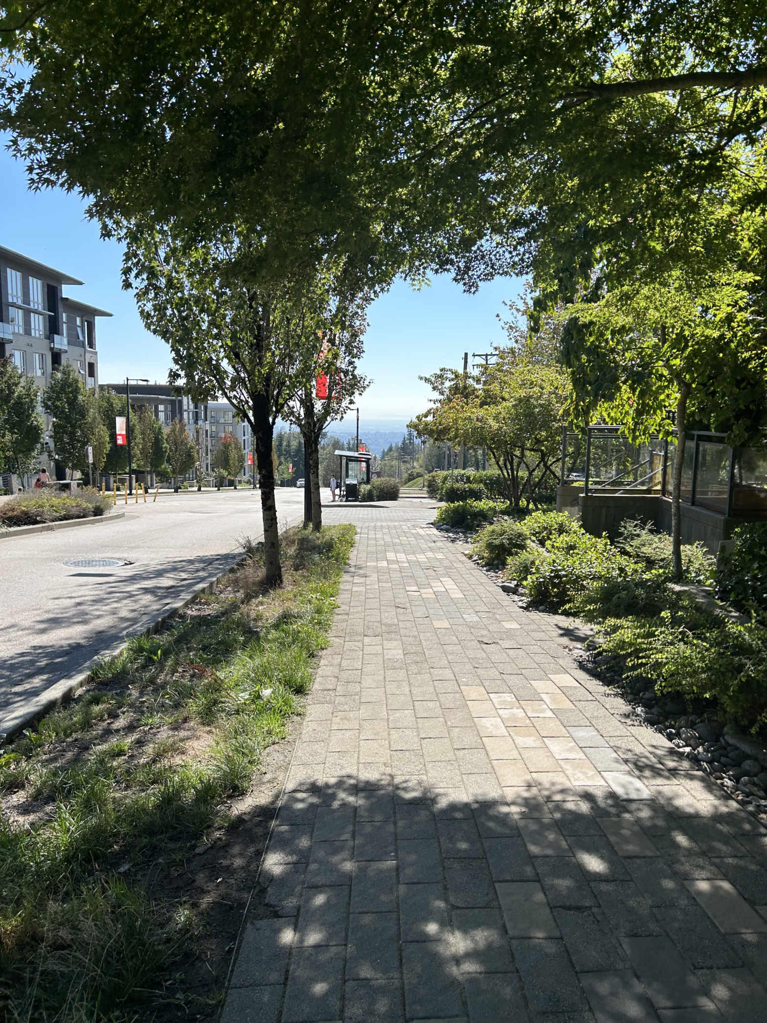 The view of mountains, skyline, and trees from a sidewalk in UniverCity.