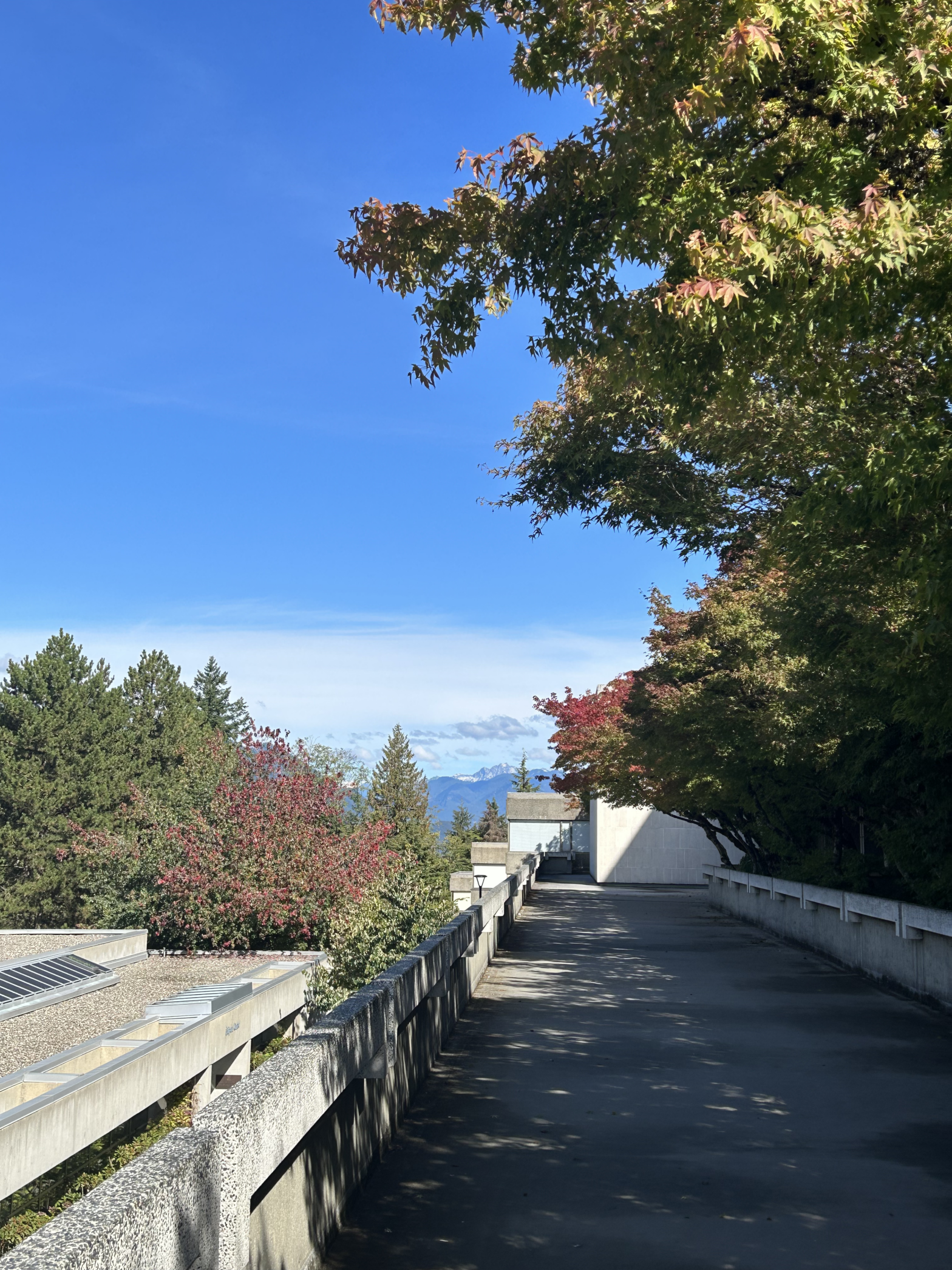 A walkway outside the Academic Quadrangle (AQ) at Simon Fraser University (SFU) Burnaby campus, with a view of the mountains and trees on a sunny day.