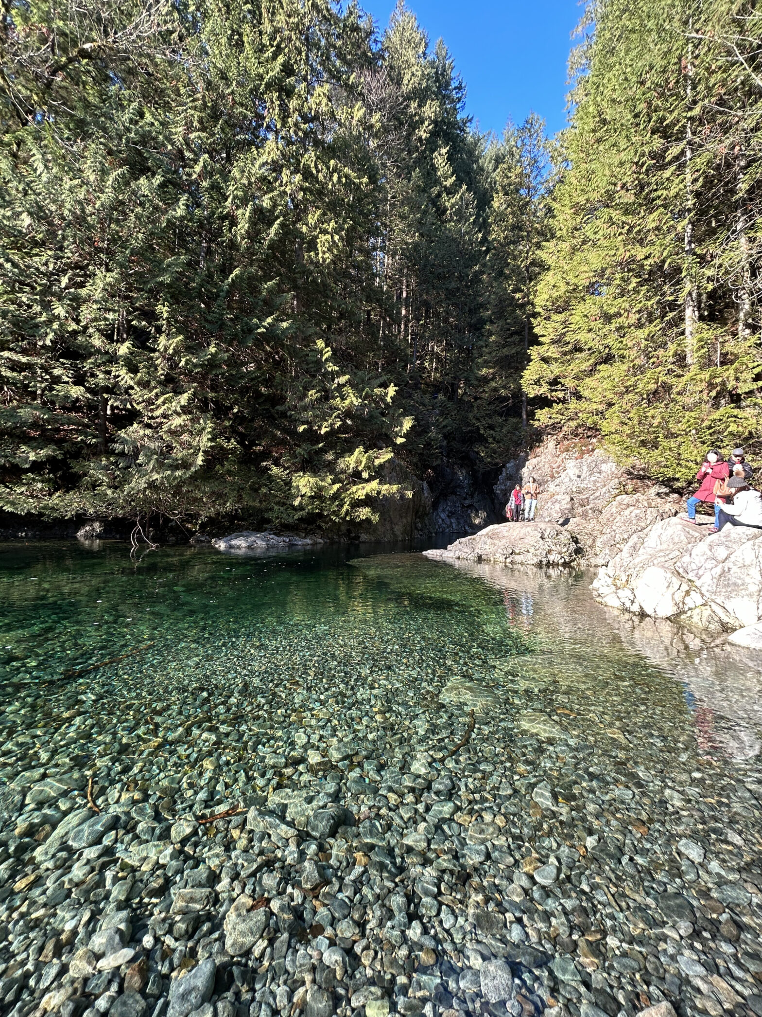 Crystal clear water beside the Lynn Canyon walking trail.